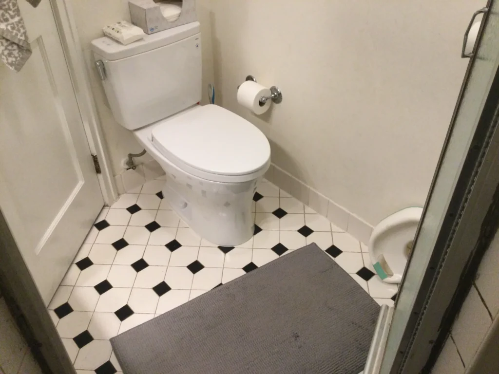 Walk-In Shower Bathroom Renovation in Montclair, NJ